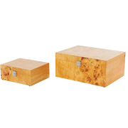 Caja Raiz S