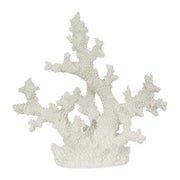 Coral 121