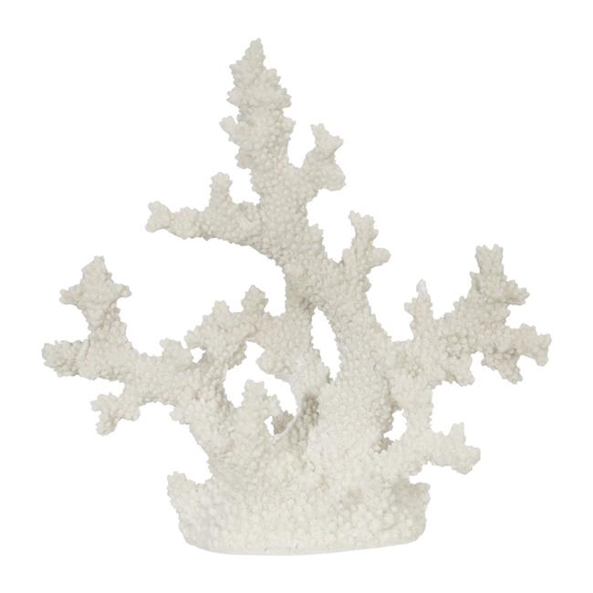 Coral 121