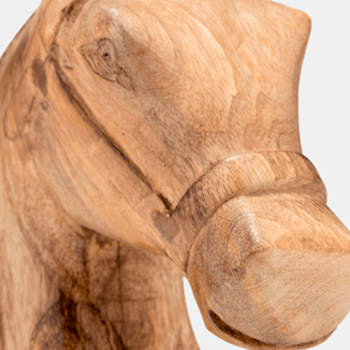 Cabeza Caballo 75