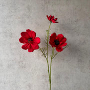 Flor Cosmos Roja