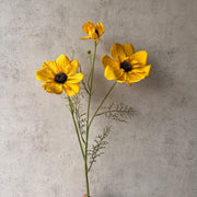 Flor Cosmos Amarrilla
