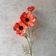 Flor Cosmos Naranja