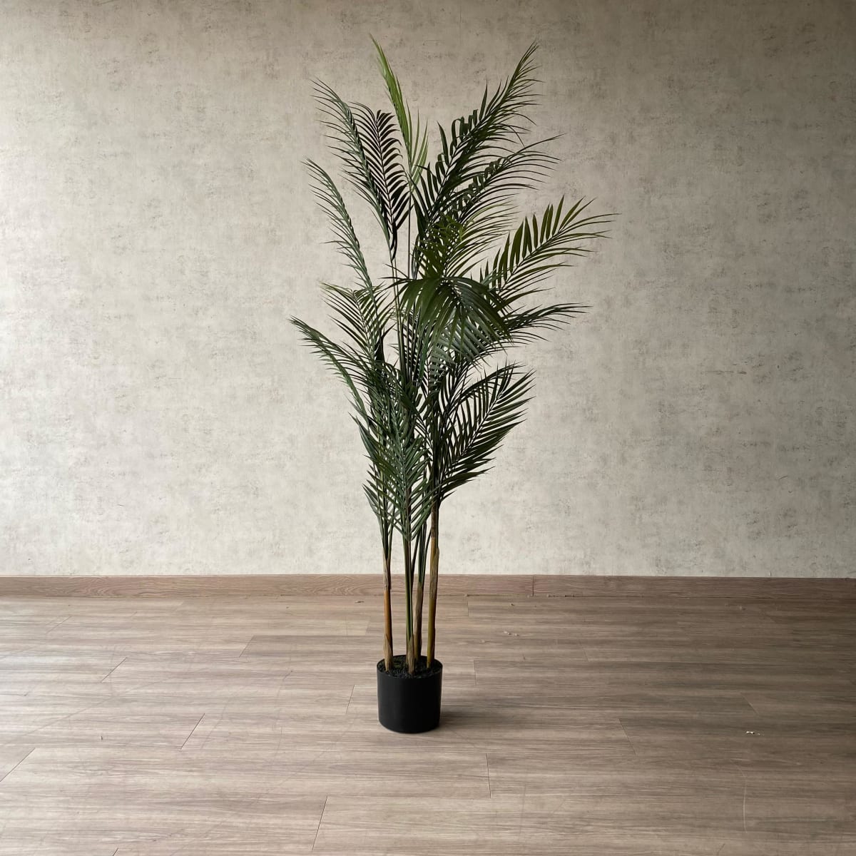 Palmera Areca Hoja Fina 150 CM