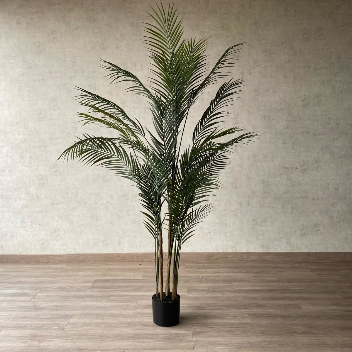 Palmera Areca Hoja Fina 150 CM