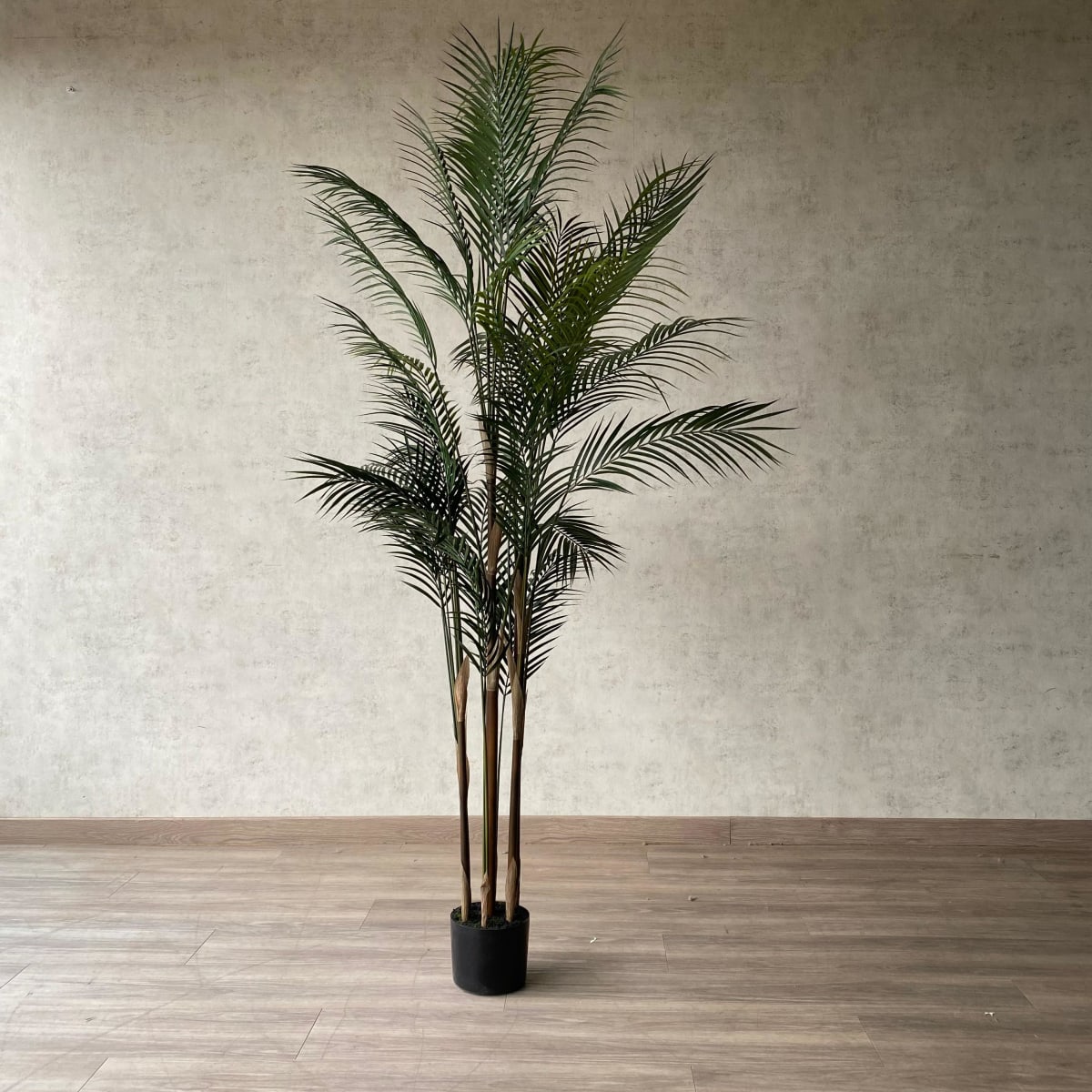 Palmera Areca Hoja Fina 183CM
