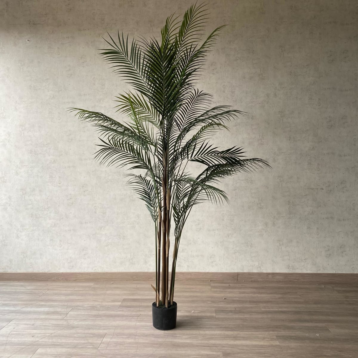 Palmera Areca Hoja Fina 183CM