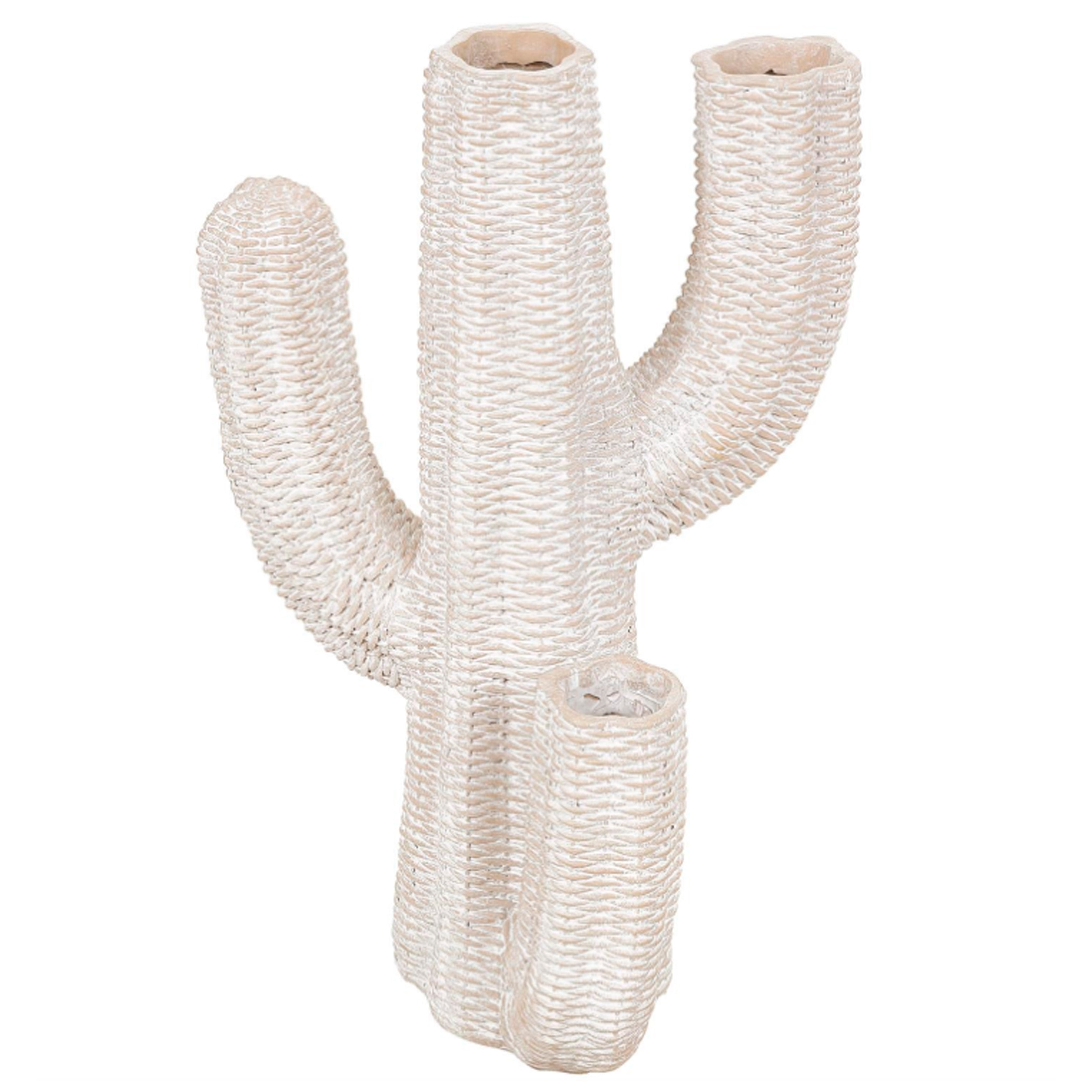 Cactus Alto