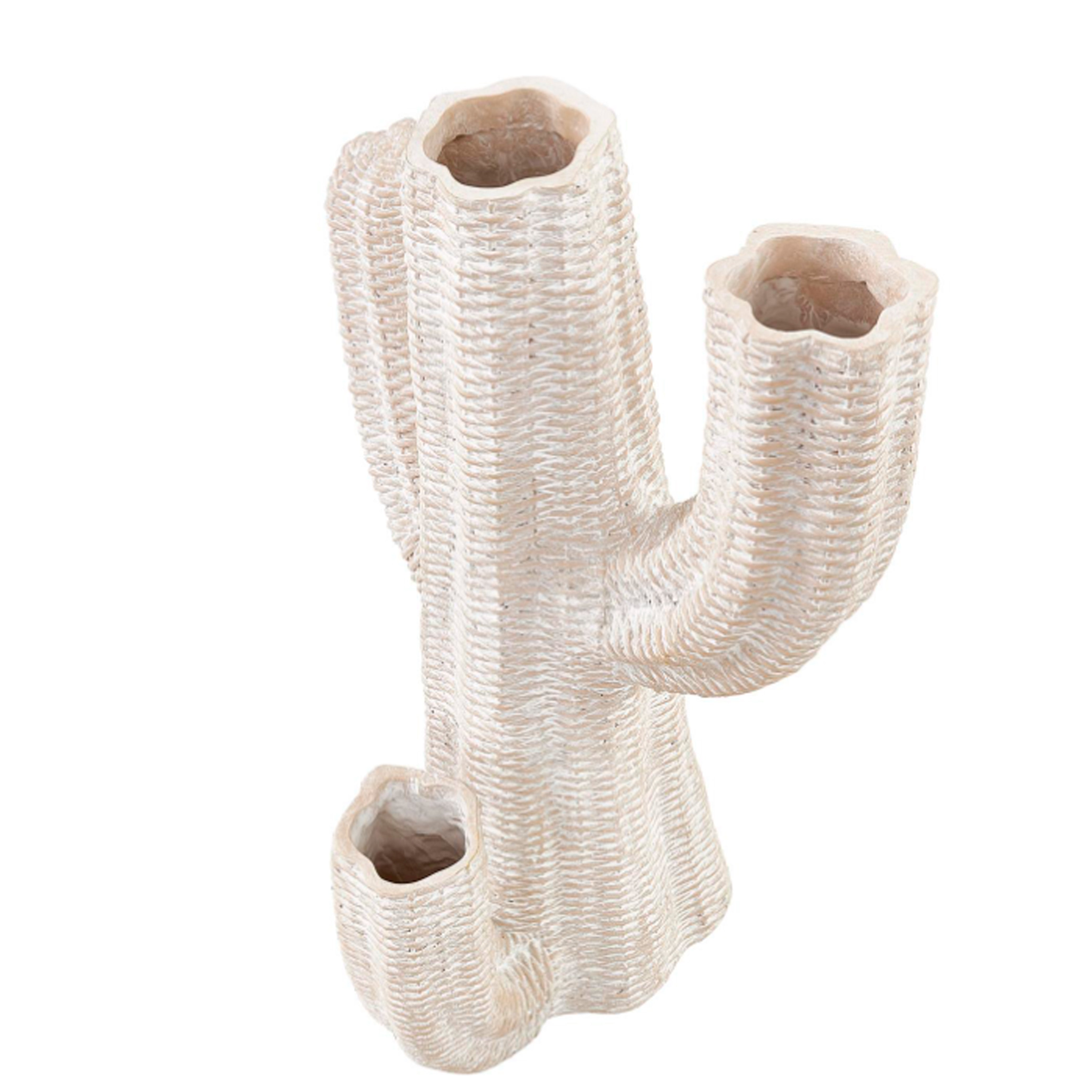 Cactus Alto
