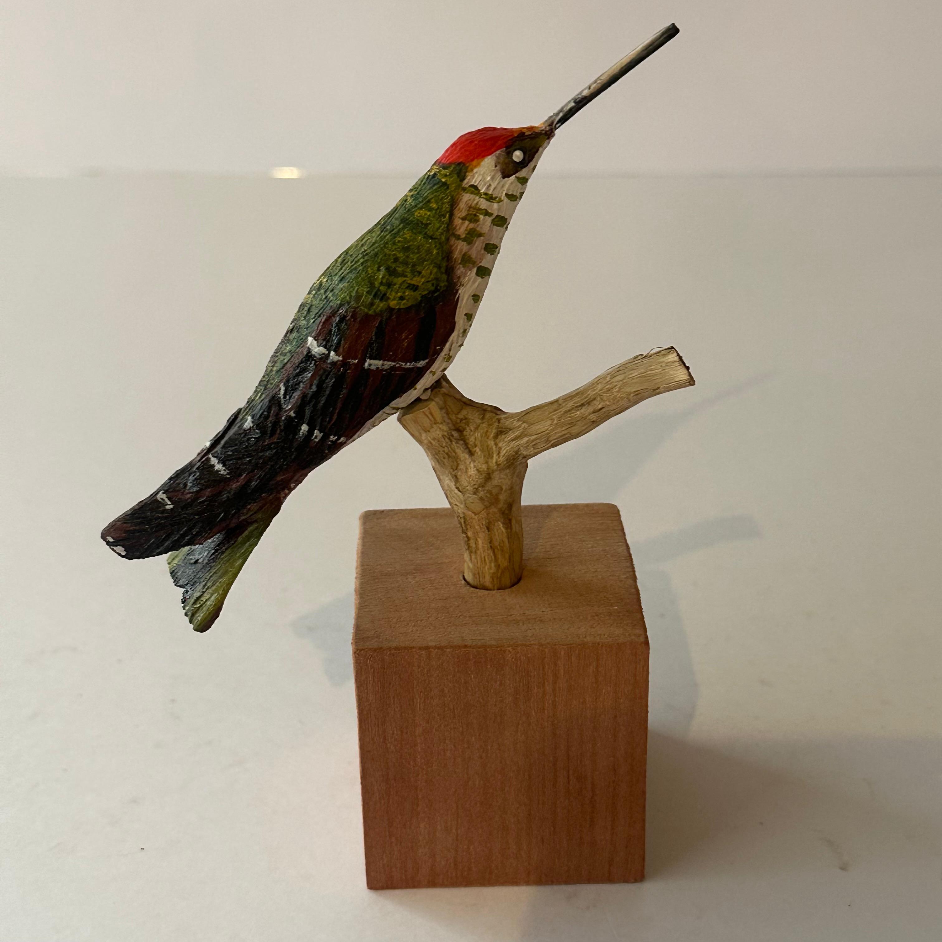 Colibrí Alas Cerradas