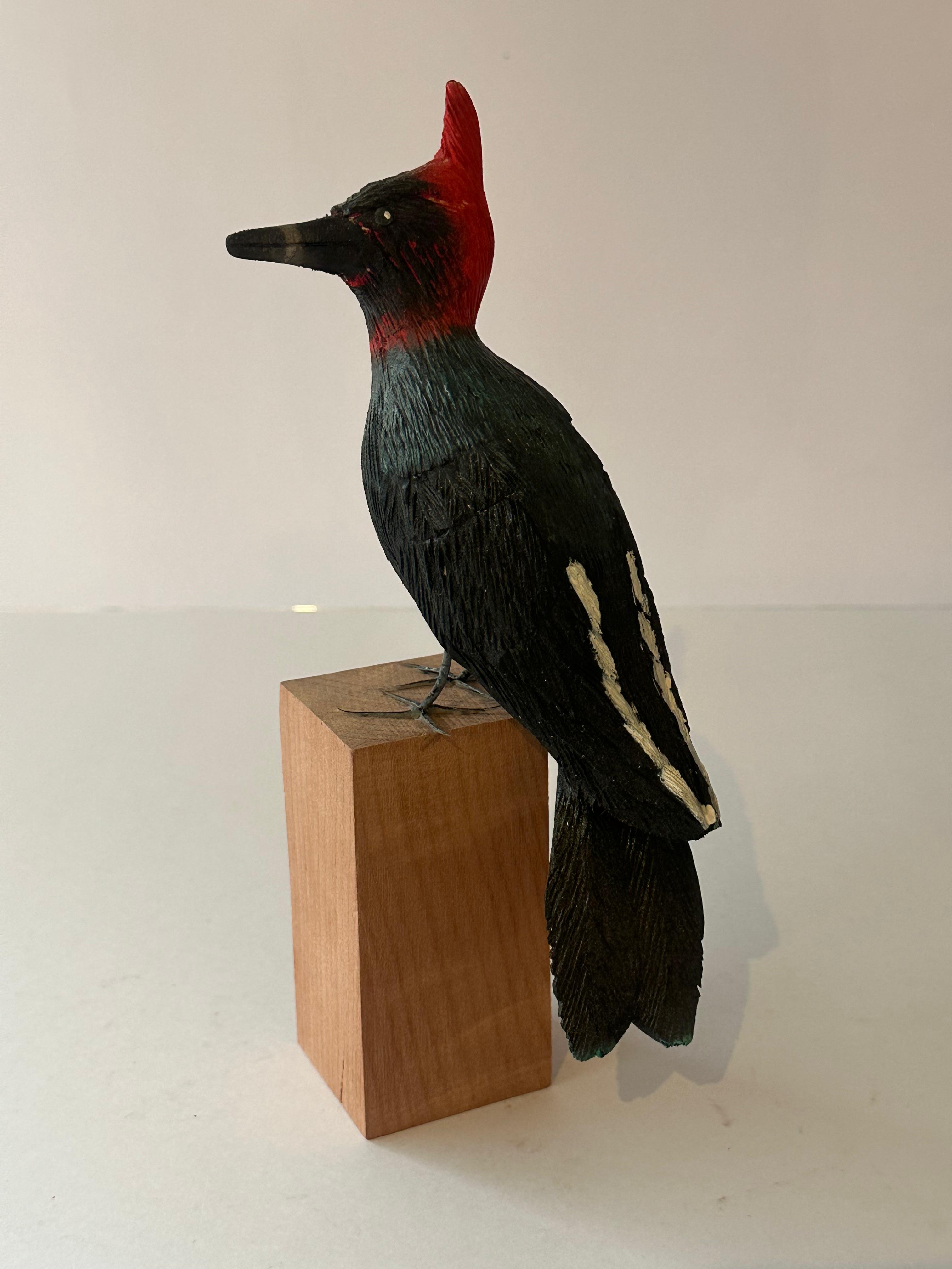 Carpintero