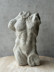 Figura Torso