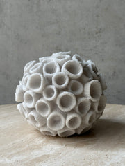 Coral Ibiza