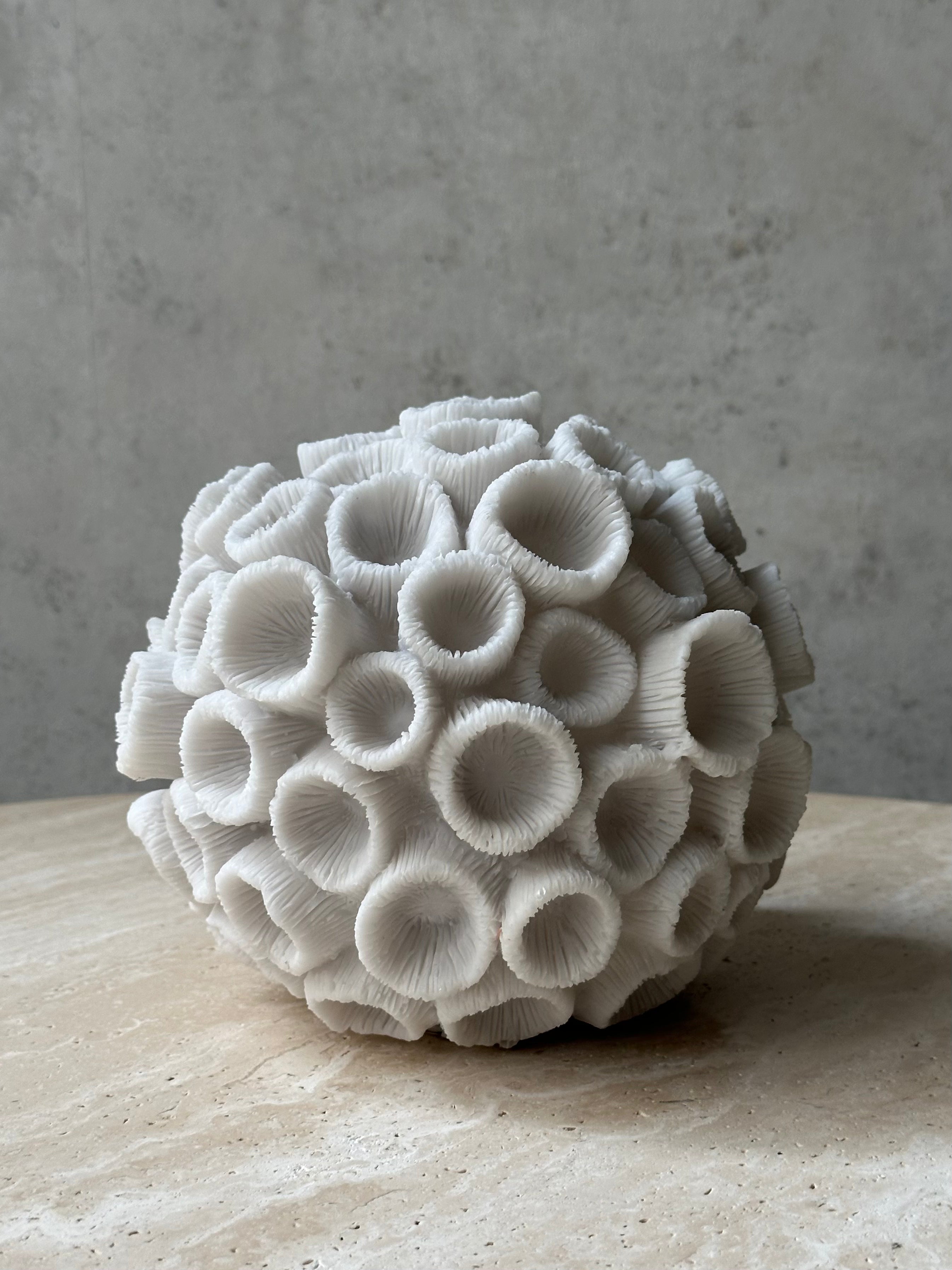 Coral Ibiza