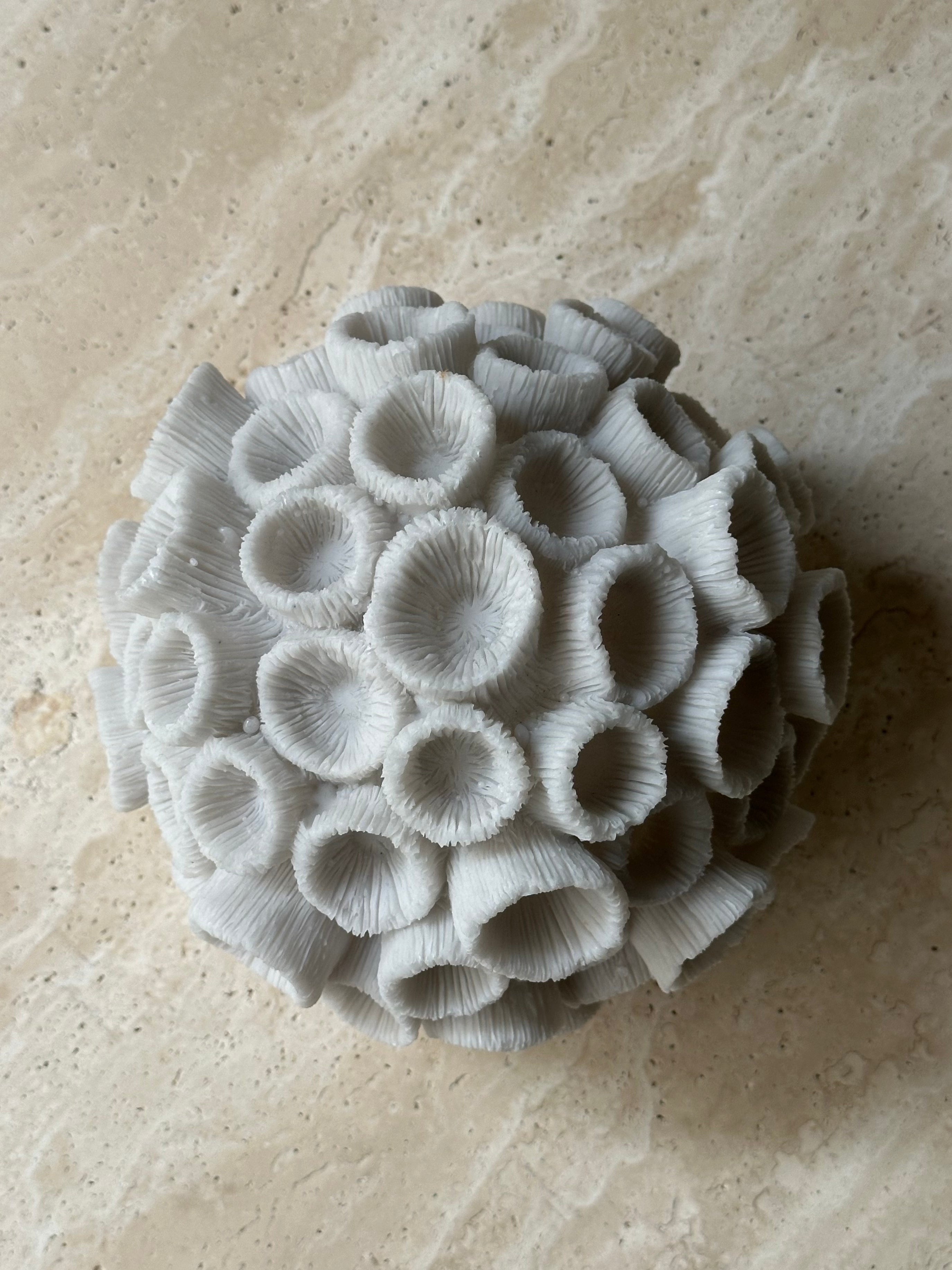 Coral Ibiza