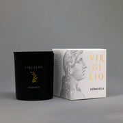 Virgilio Vela Perfumada
