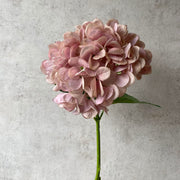 Hortensia rosada full S