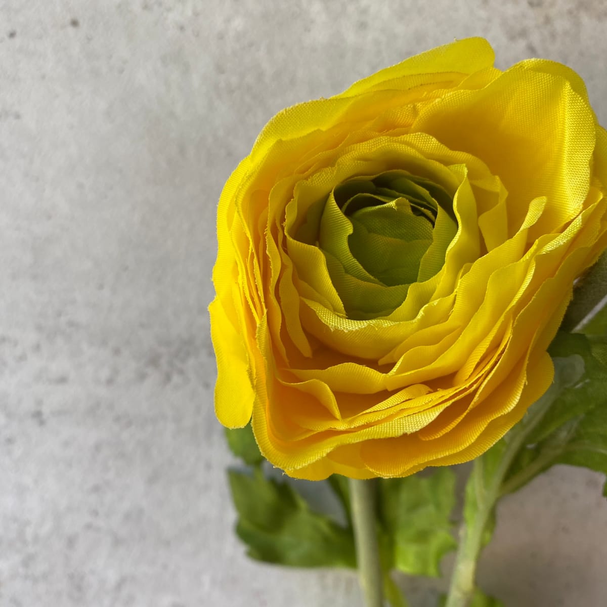 Amapola - Amarilla