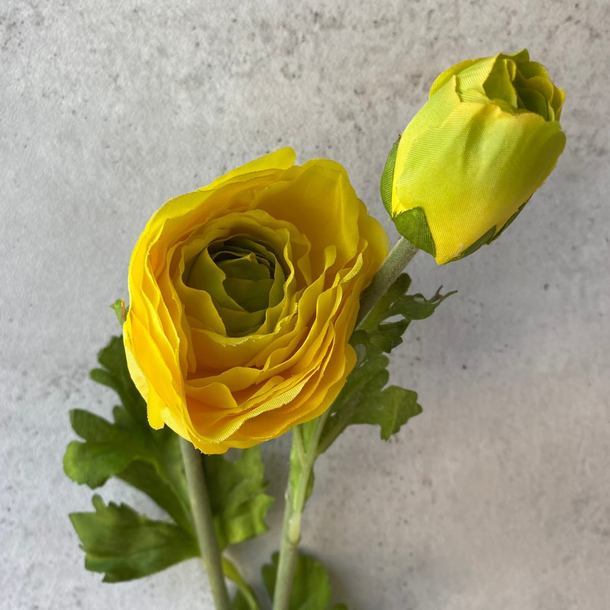Amapola - Amarilla