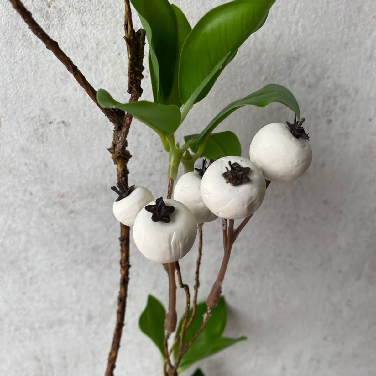 Rama Aronia Blanca