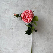 Rosa - SA347-1