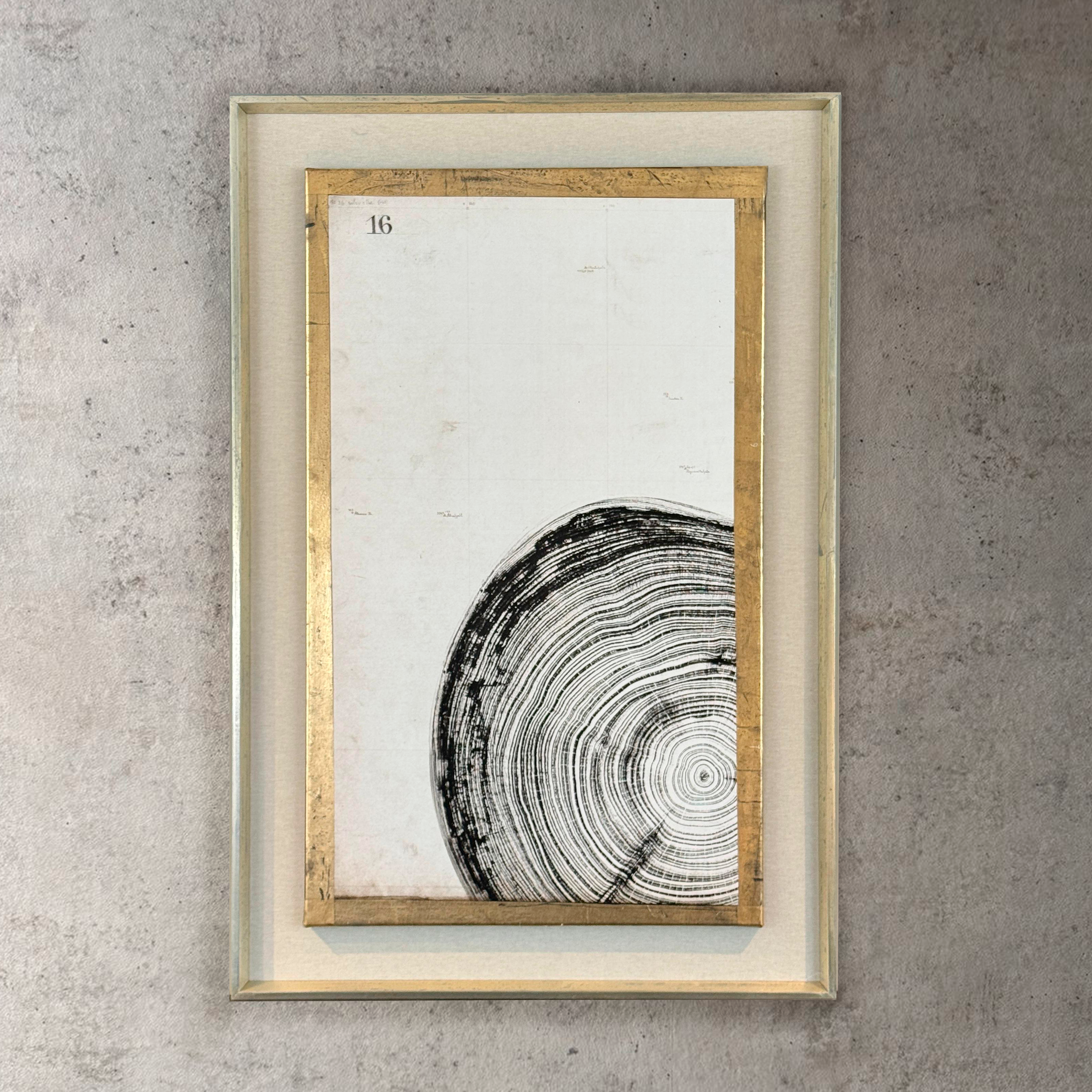 Cuadro Tronco Canvas