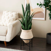 Vasija Barcelona  Crudo Base Baja