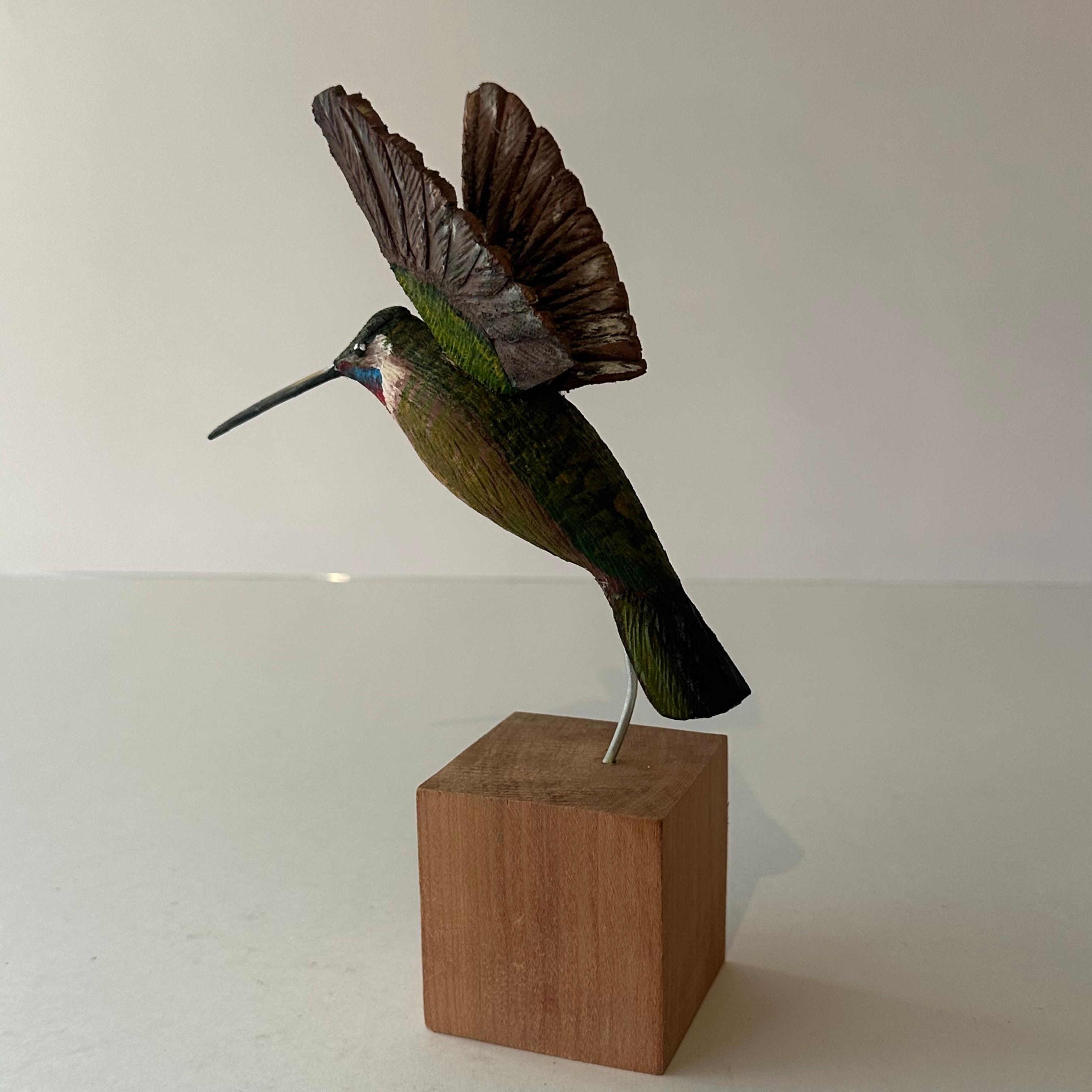 Colibrí Alas Abiertas