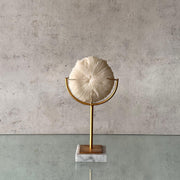 Coral Ibiza Pequeño
